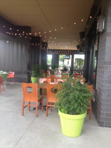 The gorgeous patio of Tiger Sushi, this is the area that we will be using for our event. 