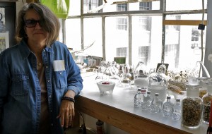 Artist Viviana Paredes 