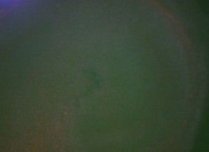 sytox 6.3x orange for blog