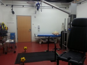 Physical Therapy Training Room 