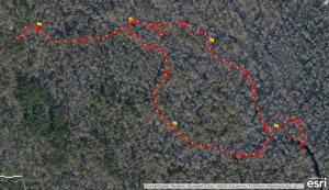 My ArcGIS boardwalk map so far.  The flags, squares, and boxes all stand for different markers I use while out there.