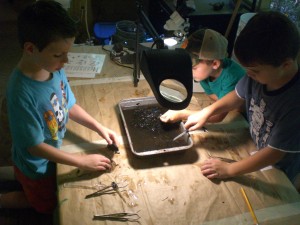 Our benthic sampling activity was a success!