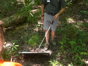 Amphibians and reptiles like to hang out underneath metal plates we put out.  We searched for them with the campers.
