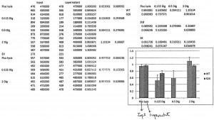 Results of luciferase assays