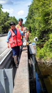 Sampling from a bridge
