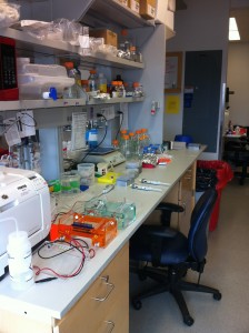 Bench where I work most of the time