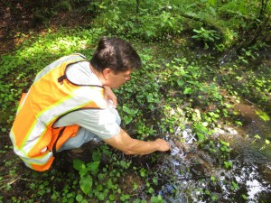 Warren sampling from a seep