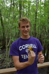 This is A924 after we banded and measured him.  He is still happy out in the swamp.