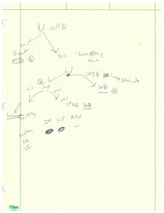 Flow chart for luciferase assay