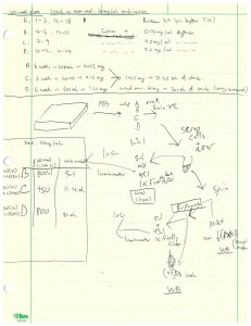 Flow chart for firefly luciferase assay