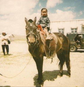 Setsen in Bayanhongor