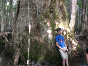 The Knee Knocker tree with Ryan (an advanced camper) as a size reference.