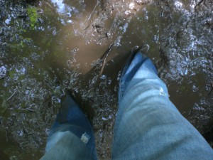 Oooh, the mud feels so good.  I sunk up to my knees at some points.