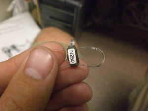 This is one of the geolocators that will find its way to the back of a Prothonotary Warbler.