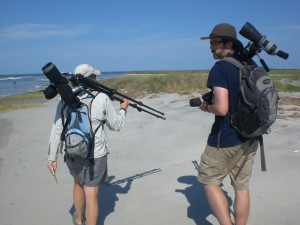 As we roam the beach in search of shorebirds.