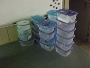 Out summer campers donated these soon-to-be-nest boxes.