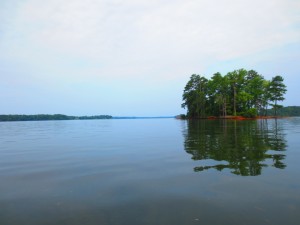 A small island at Lake Wateree