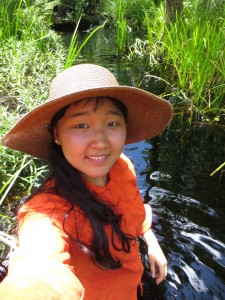 Black water in Lewis Ocean Bay Heritage Preserve