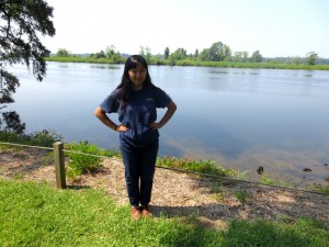 The alligator is on the other side of the river, behind me