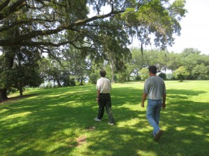 Two beetles missing at Mepkin Abbey