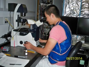 Epi-fluorescence microscopy