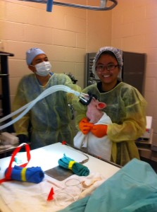 I was assisting with anesthesia 