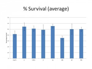 Lab meeting presentation
