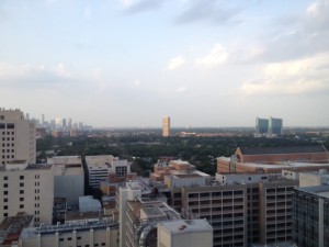 View from NRI on the Finale of World Cup 2014