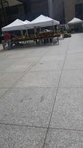 Farmer's Market outside of the Cook County Courthouse!