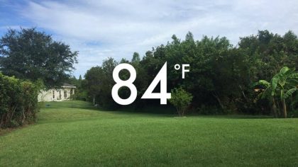 View from my backyard--it's only 9am, and this temp is without humidity! 