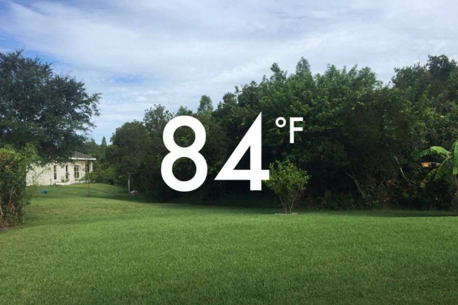 Story-related photo for post 15761_1688