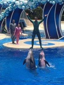 13510486_1183468988340345_771653499_n