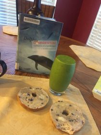 An average morning--vegan green smoothie, a bagel, and dolphin musings. 