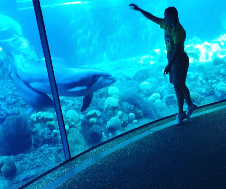 Story-related photo for post 15249_1573