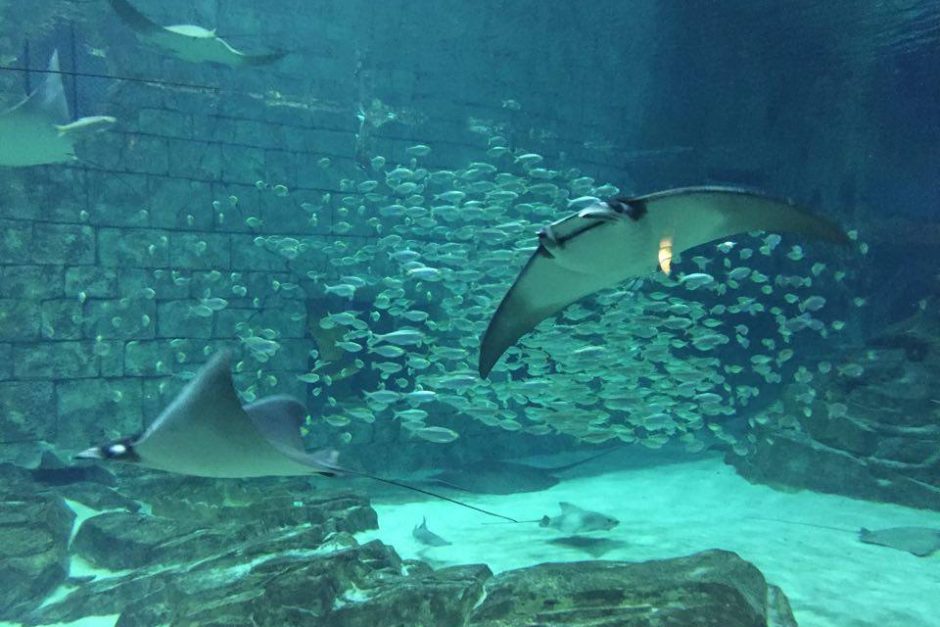 Story-related photo for post 15968_1749