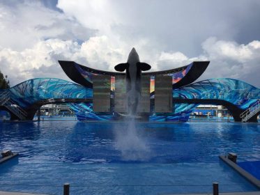 Kayla's gorgeous show-opening breach. 