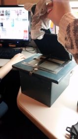 This box has a glass top with a lightbulb underneath. 