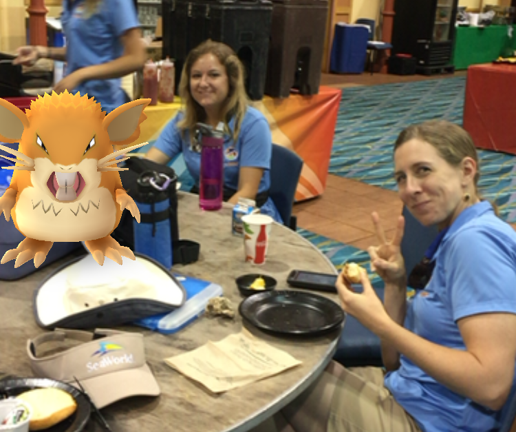 Story-related photo for post 16153_1795