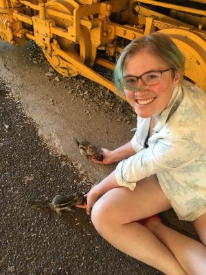 Feeding chipmunks right out of my hands