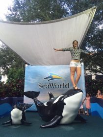 13906646_1220381754649068_4333916905344551647_n