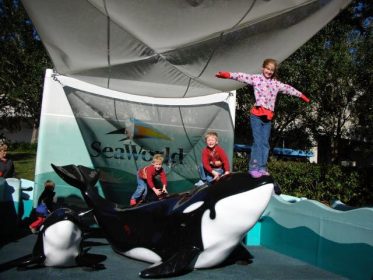 14022081_1220381711315739_1030690047471544104_n