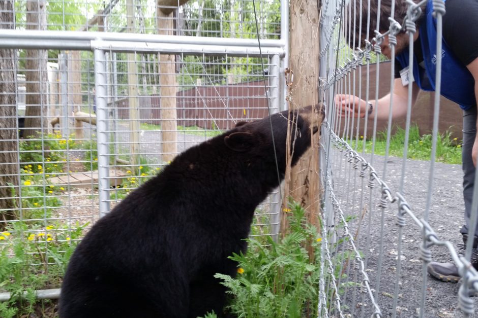 Story-related photo for post 18007_2375