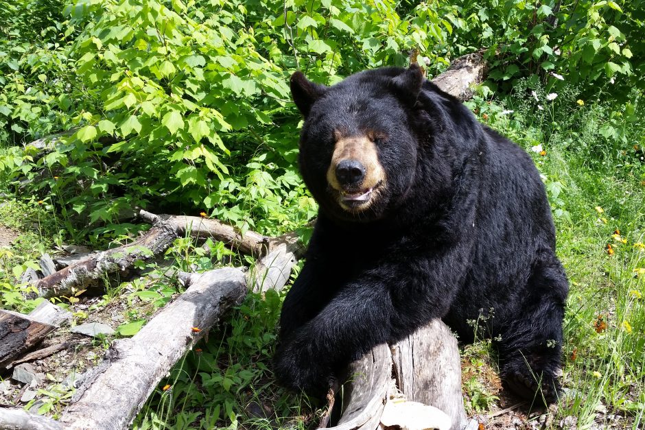 Story-related photo for post 18313_2506