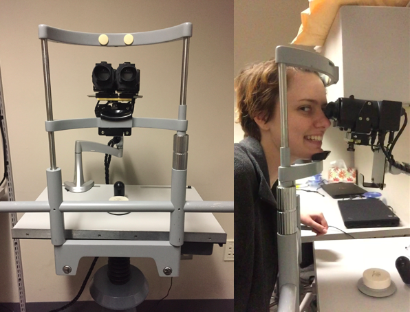 Story-related photo for post 18238_2485