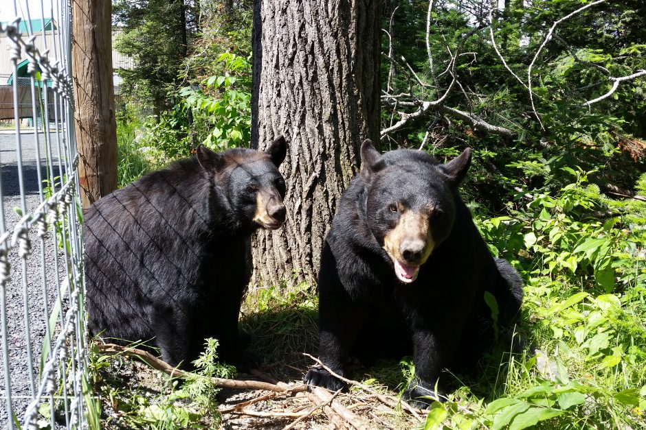 Story-related photo for post 18826_2719