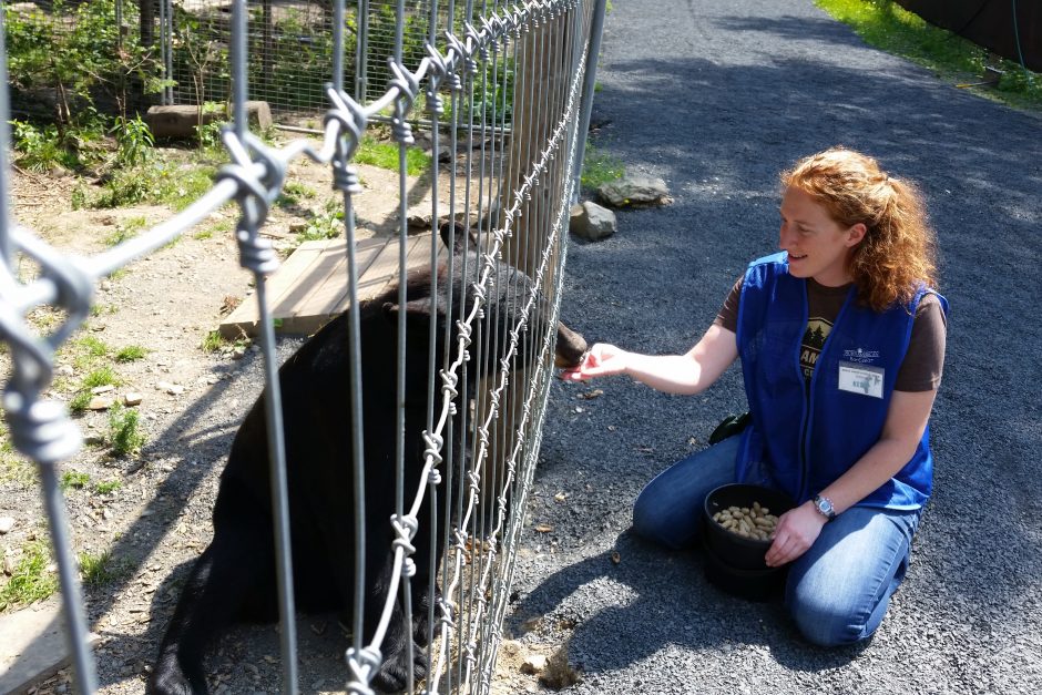 Story-related photo for post 19182_2894