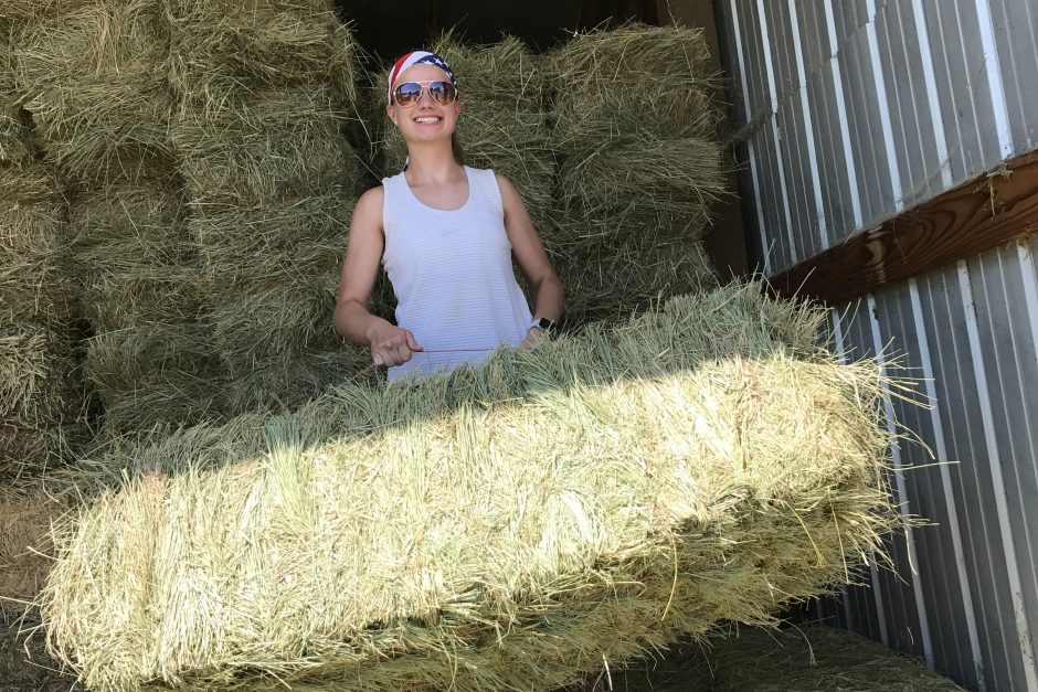 Story-related photo for post 18784_2703