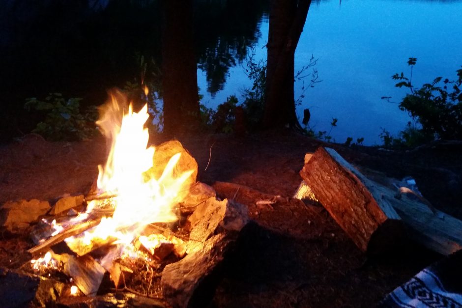 Campfire in the forest at dusk