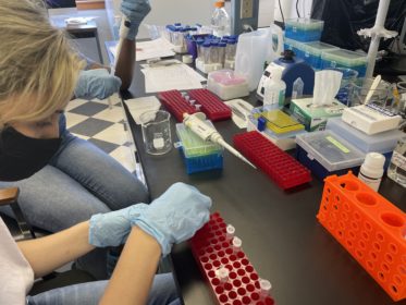 A black table with with viles held in a red case containing DNA. Two girls are working together and holding a few of the viles.